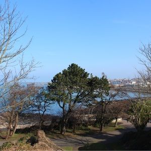 Meet your Posher, Louisa